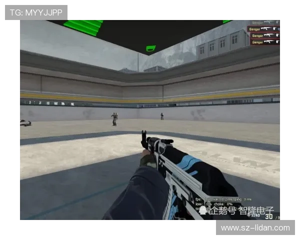 CSGO战队BLG的战术演变与选手表现深度解析